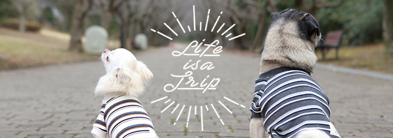 Life is a trip(ライフイズアトリップ)