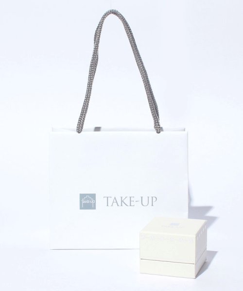 TAKE-UP(テイクアップ)/キラメキホシピアス(2ホールピアス)/img06