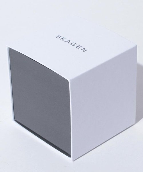 SKAGEN(スカーゲン)/SKAGEN(スカーゲン)233XLTMB/img04