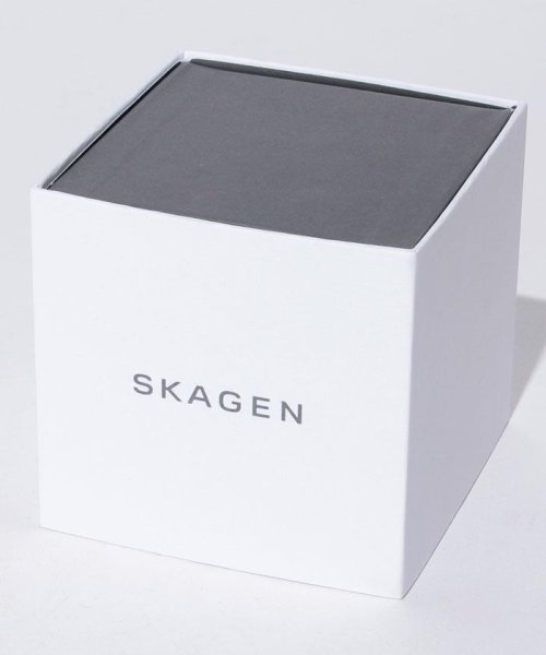 SKAGEN(スカーゲン)/SKAGEN(スカーゲン)355SSS1/img04