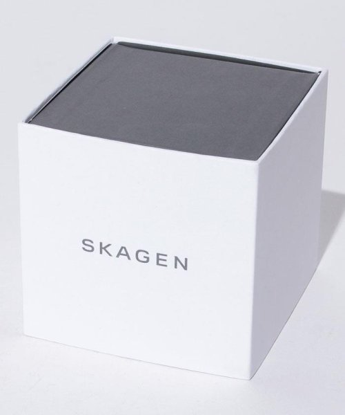 SKAGEN(スカーゲン)/SKAGEN(スカーゲン)358SSSD/img04