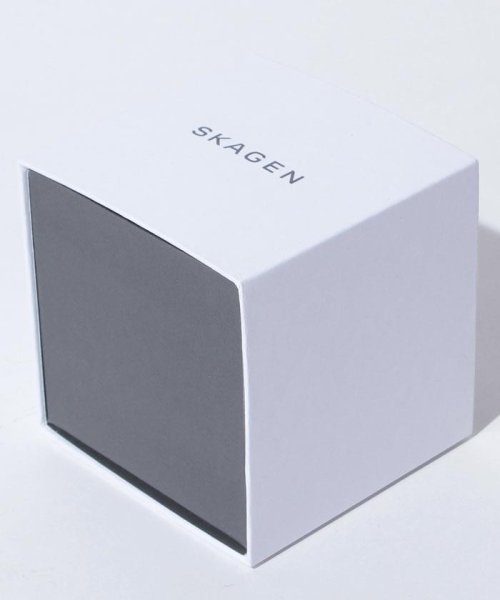 SKAGEN(スカーゲン)/SKAGEN(スカーゲン)SKW6006/img04