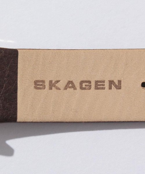 SKAGEN(スカーゲン)/SKAGEN(スカーゲン)SKW6066/img04