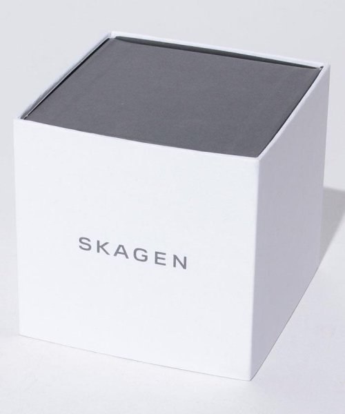 SKAGEN(スカーゲン)/SKAGEN(スカーゲン)SKW6082/img05