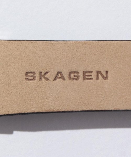 SKAGEN(スカーゲン)/SKAGEN(スカーゲン)SKW6105/img04