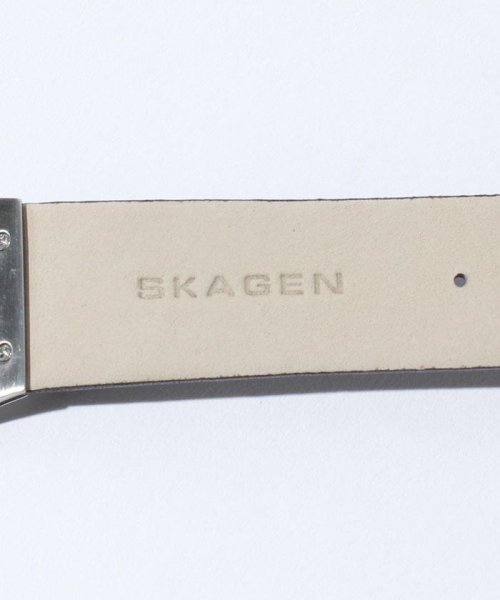 SKAGEN(スカーゲン)/SKAGEN(スカーゲン)233XXLSLN/img04