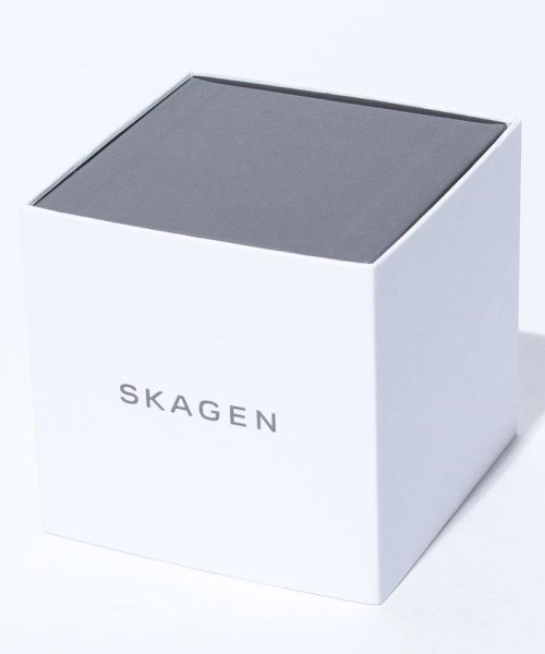 SKAGEN(スカーゲン)/SKAGEN(スカーゲン)233XXLSLN/img05