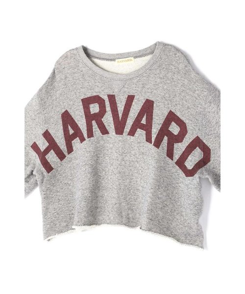 ROSE BUD(ローズバッド)/HARVARD スウェットTシャツ/img06