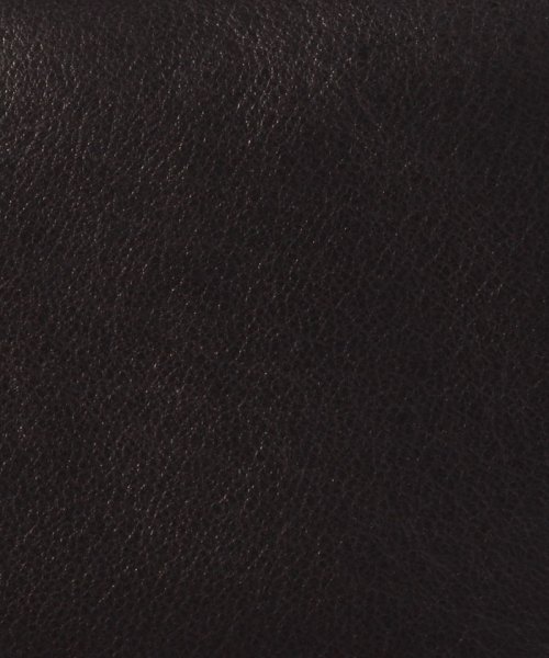 PATRICK STEPHAN(パトリックステファン)/Leather　coins　case　’minimal’　shine/img03