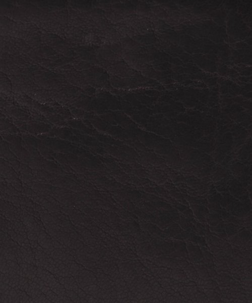 PATRICK STEPHAN(パトリックステファン)/Leather　micro　wallet　’minimal’　shine　2/img06