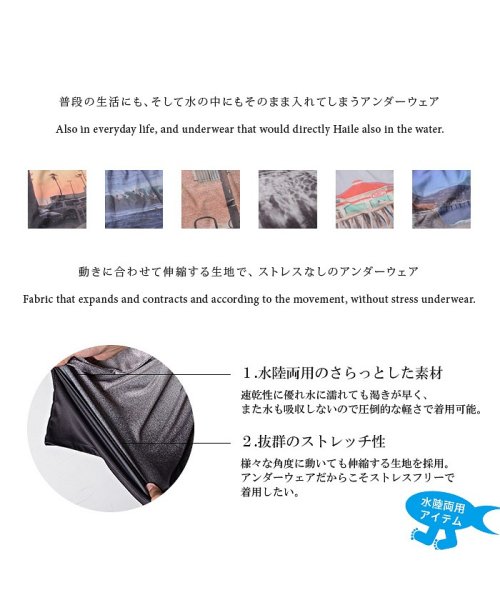 Blue Wax(ブルーワックス)/BlueWax【ブルーワックス】Dolphin swim ボクサーパンツ/img01