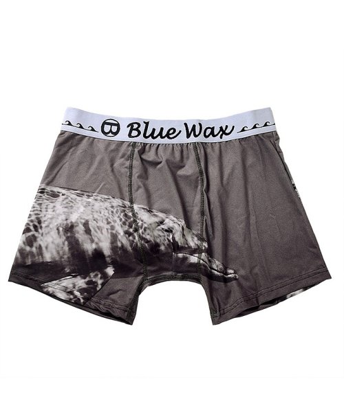 Blue Wax(ブルーワックス)/BlueWax【ブルーワックス】Dolphin swim ボクサーパンツ/img02