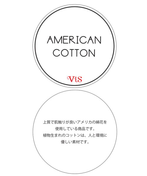 VIS(ビス)/【AMERICAN COTTON】VネックTシャツ/img13