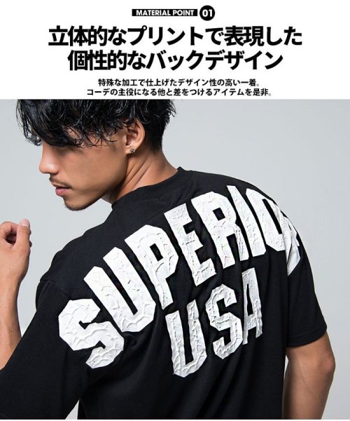 CavariA(キャバリア)/CavariA【キャバリア】SUPERIORビッグペイントバックプリントクルーネック半袖Tシャツ/img14