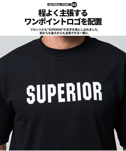 CavariA(キャバリア)/CavariA【キャバリア】SUPERIORビッグペイントバックプリントクルーネック半袖Tシャツ/img15