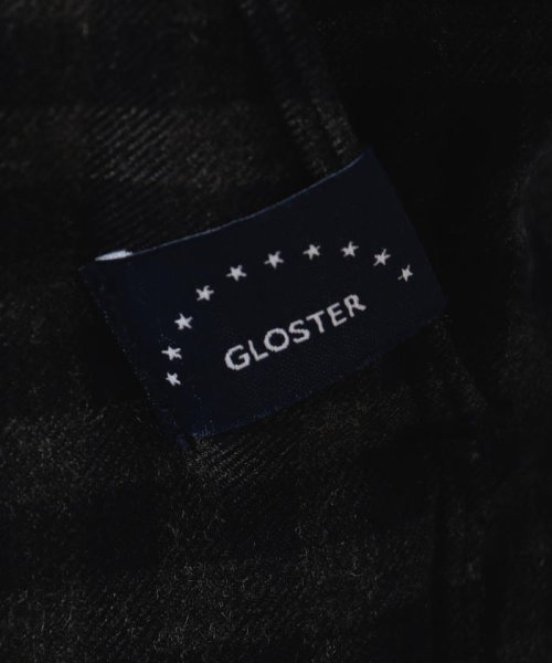 GLOSTER(GLOSTER)/サキソニーウールダウンベスト/img07