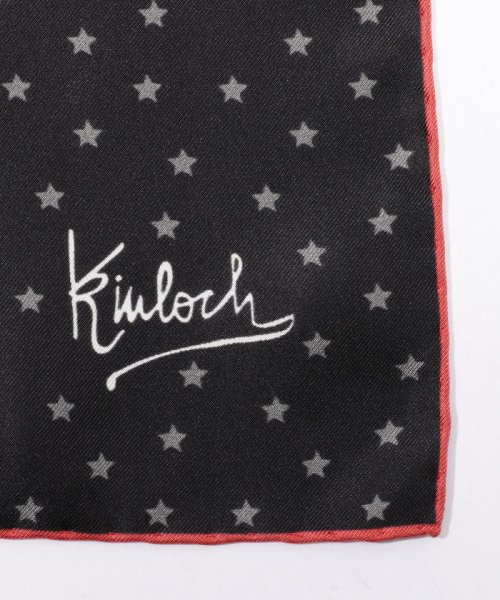 TOMORROWLAND GOODS(TOMORROWLAND GOODS)/Kinloch シルク プリントチーフ/img02