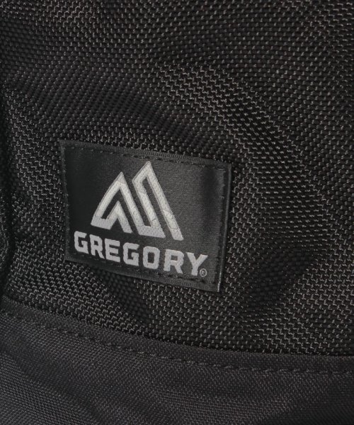 GREGORY(グレゴリー)/Gregory Switch Sling/img04
