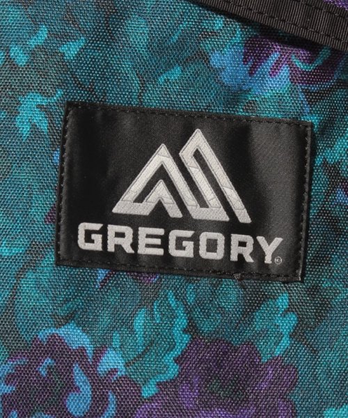GREGORY(グレゴリー)/Gregory Day Pack/img05