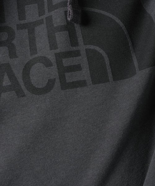 THE NORTH FACE(ザノースフェイス)/THE NORTH FACE Men’s Half Dome Pullover Hoodie/img05