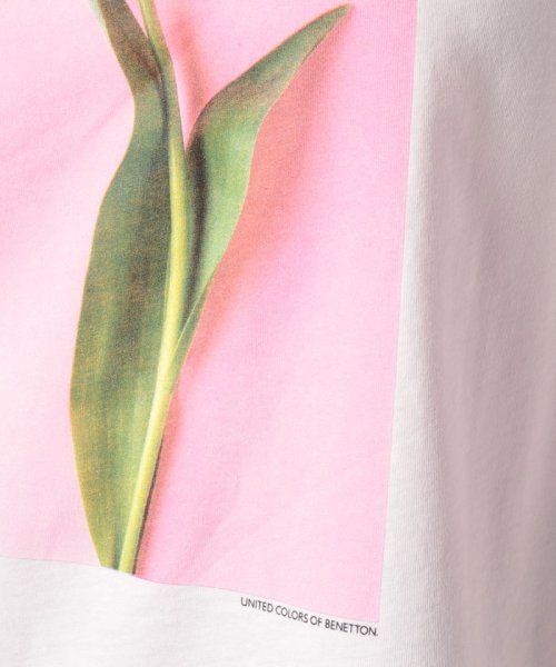 BENETTON (women)(ベネトン（レディース）)/コットンプリント半袖Tシャツ・カットソー/img30