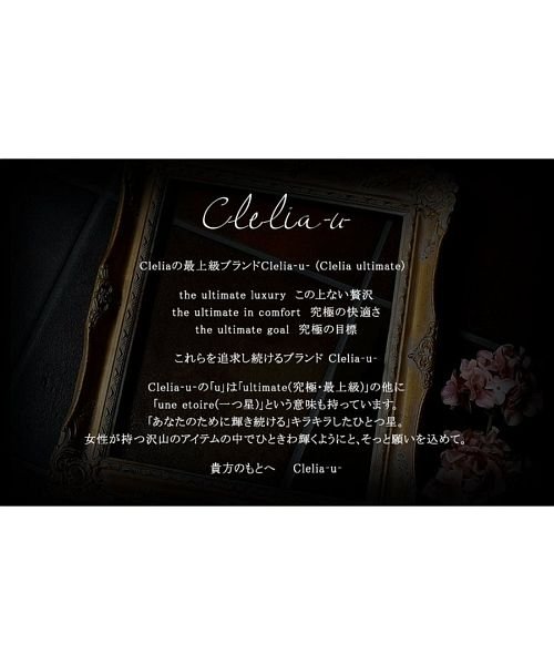 Clelia-u-(クレリアユー)/ハンドバッグ レディース 本革 レザー エナメル クロコ型押し マルチカラー 小さめ バッグ 日本製 Clelia－u－/img04