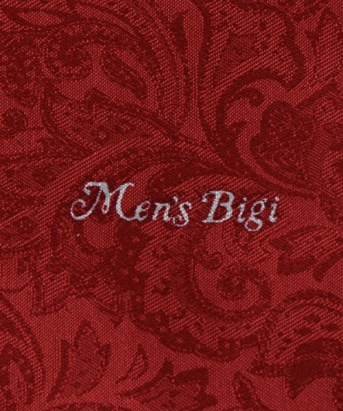 Men's Bigi(メンズビギ)/【リバーシブル】円形ペイズリー柄ポケットチーフ/img04