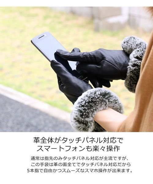sankyoshokai(サンキョウショウカイ)/手袋 レディース スマホ対応 ラムレザー/img02