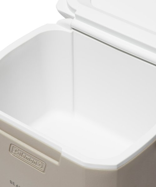 別注 Coleman コールマン Excursion Cooler 16qt クーラーボックス ビューティアンドユース ユナイテッドアローズ Beauty Youth United Arrows Magaseek