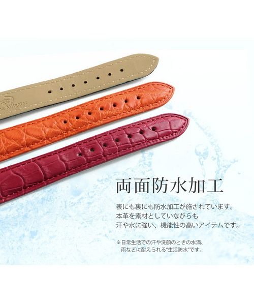 sankyoshokai(サンキョウショウカイ)/腕時計 付け替え用 ベルト 本革 アリゲーター 18mm/img03