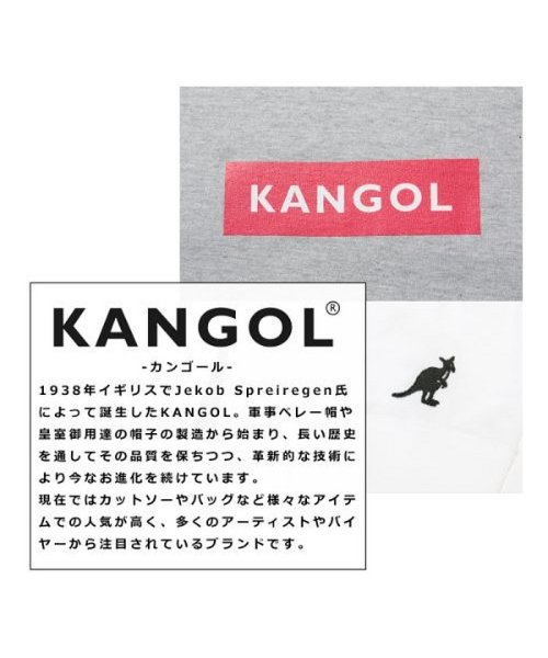 THE CASUAL(ザ　カジュアル)/(カンゴール) KANGOL ボックスロゴ長袖Tシャツカットソー/img01