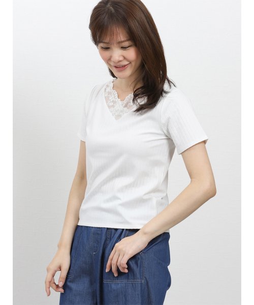 m.f.editorial(エムエフエディトリアル)/【WEB限定企画商品】エムエフエディトリアルレディース/m.f.editorial:Women　無地＆ボーダー レースリブ半袖プルオーバー （7カラー展開）/img02