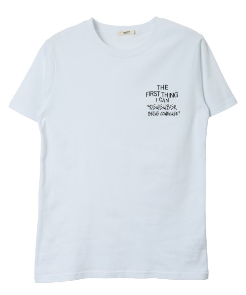 JIGGYS SHOP(ジギーズショップ)/マルチプリントUSAコットン半袖T / Tシャツ メンズ おしゃれ ティーシャツ 半袖 半袖Tシャツ プリント ロゴ/img20