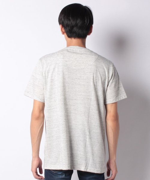 MARUKAWA(大きいサイズのマルカワ)/大きいサイズ 杢 フォトプリント 半袖Tシャツ/img02