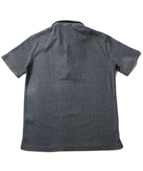 THE CASUAL(ザ　カジュアル)/(スプ) SPU テレコ地半袖二枚襟ポロシャツ/img07