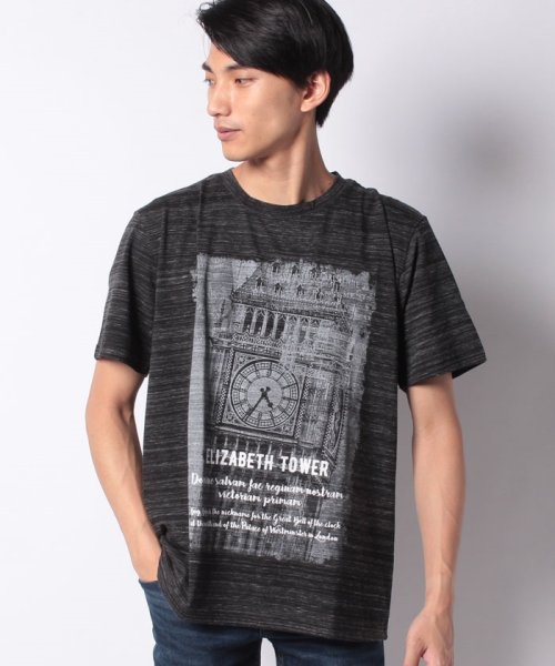 MARUKAWA(大きいサイズのマルカワ)/大きいサイズ 杢 フォトプリント 半袖Tシャツ/img11