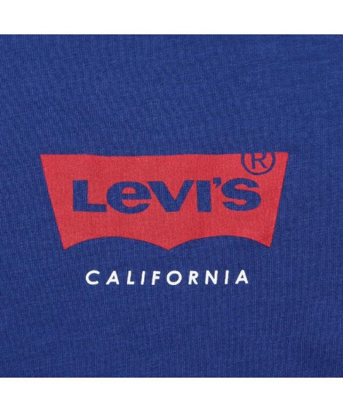 Levi's(リーバイス)/ロングスリーブTシャツ SSNL HM LS SODALITE/img06
