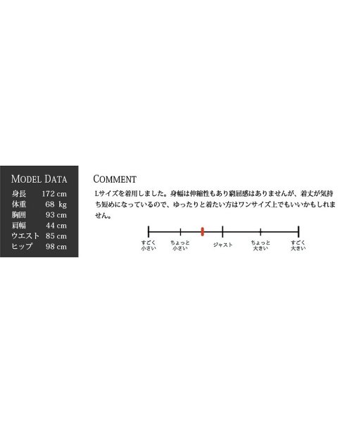COMONGOLF(コモンゴルフ)/【COMON GOLF】アウトレットチルデンＶネックコットンゴルフセーター(CG－ST54718)/img11