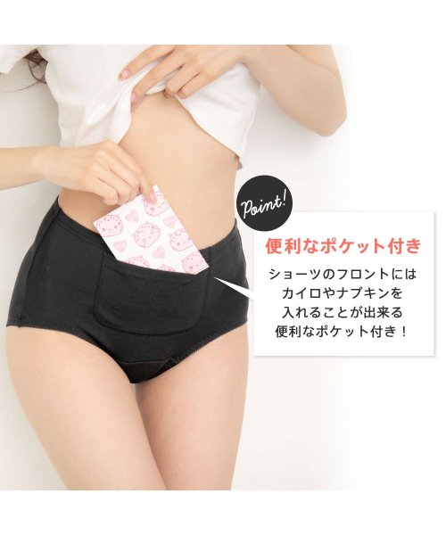 クーポン 生理用ショーツ サニタリー ポケット付 ハイウエスト サニタリーショーツ 下着 生理ショーツ 生理パンツ 羽根 ウィング 深履きショーツ ショーツ 深履き シ エメフィール Aimerfeel Magaseek