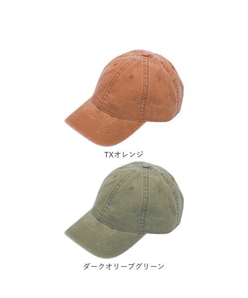 BACKYARD FAMILY(バックヤードファミリー)/OTTO オットー Sip Panel Low Profile Style Cap 18711/img11