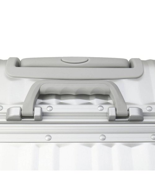 RICARDO スーツケース リカルド キャリーケース Aileron 24－inch Spinner Suitcase 58L AIL－24－4VP メッシュジップポケット Silver Matte ×1