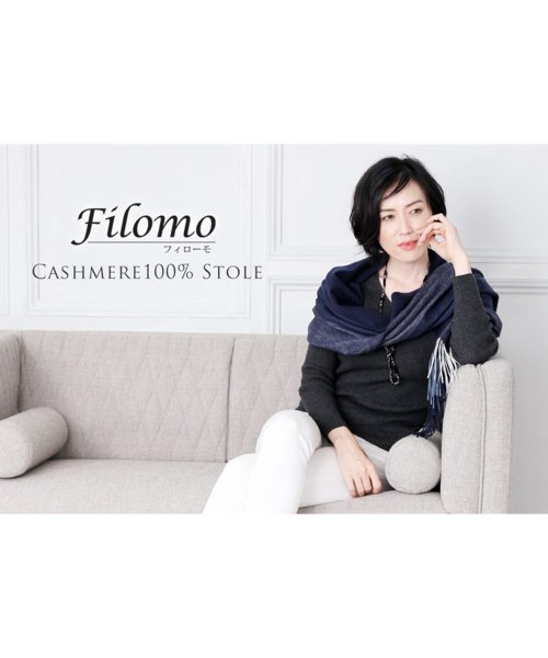 Filomo(フィローモ)/[Filomo]アラシャンカシミヤ100％マフラーストール/img15