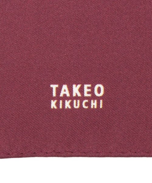 TAKEO KIKUCHI(タケオキクチ)/9ボックスポケットチーフ/img03