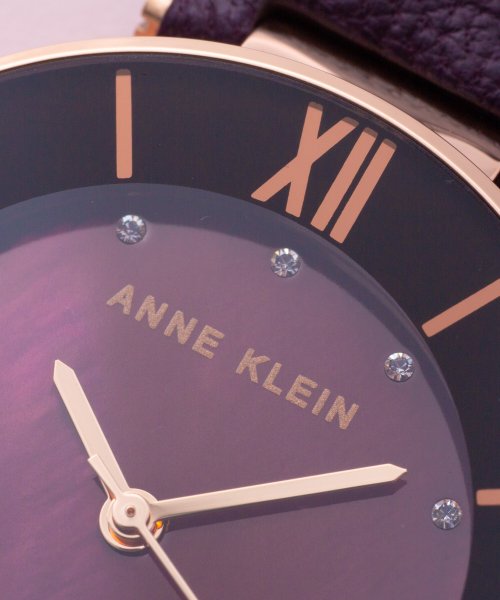 ANNE KLEIN(ANNE KLEIN)/ANNE KLEIN　エレガンスインデックスドレスウォッチ　レザーバンド/img07