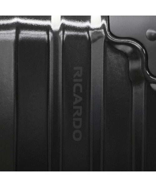 RICARDO(リカルド)/RICARDO スーツケース リカルドビバリーヒルズ Aileron Vault 24－inch Spinner 58L AIV－24－4VP/img33