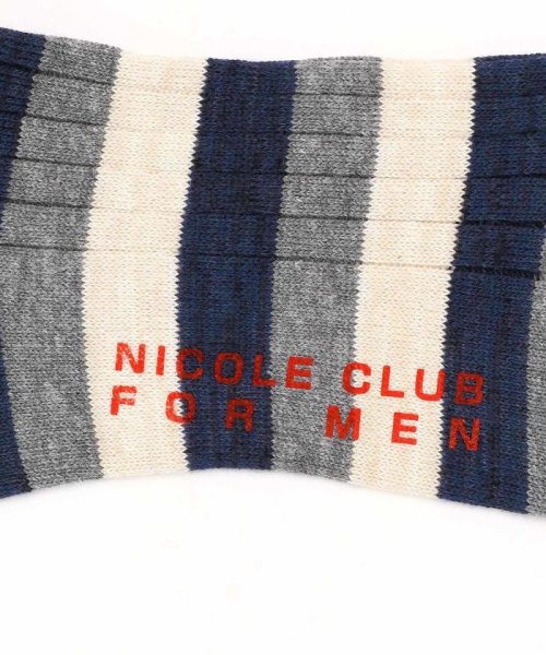 NICOLE CLUB FOR MEN(ニコルクラブフォーメン)/アソート柄リブソックス/img02