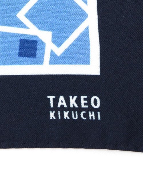 TAKEO KIKUCHI(タケオキクチ)/ヴィンテージ小紋チーフ/img02