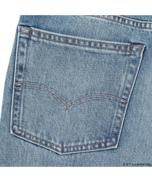 Levi's(リーバイス)/501(R) JEANS FOR WOMEN THE FORCE SELVEDGE/img10
