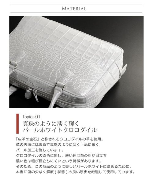 sankyoshokai(サンキョウショウカイ)/クロコダイルレザーハンドバッグ日本製/img02