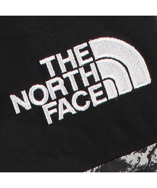 THE NORTH FACE(ザノースフェイス)/ノースフェイス THE NORTH FACE ジャケット マウンテンジャケット レディース WOMENS MOUNTAIN LIGHT DRYVENT JACK/img06